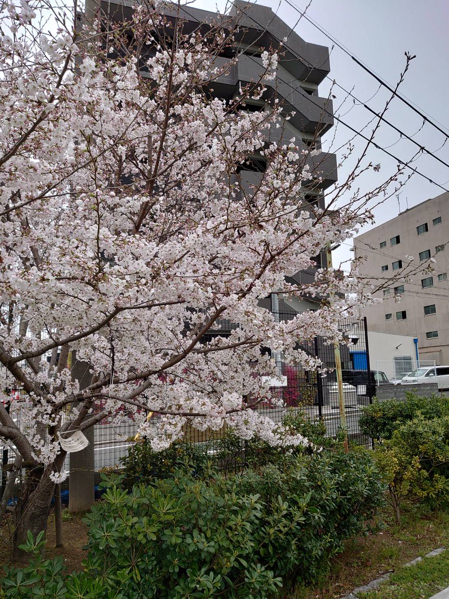 勧進橋児童公園