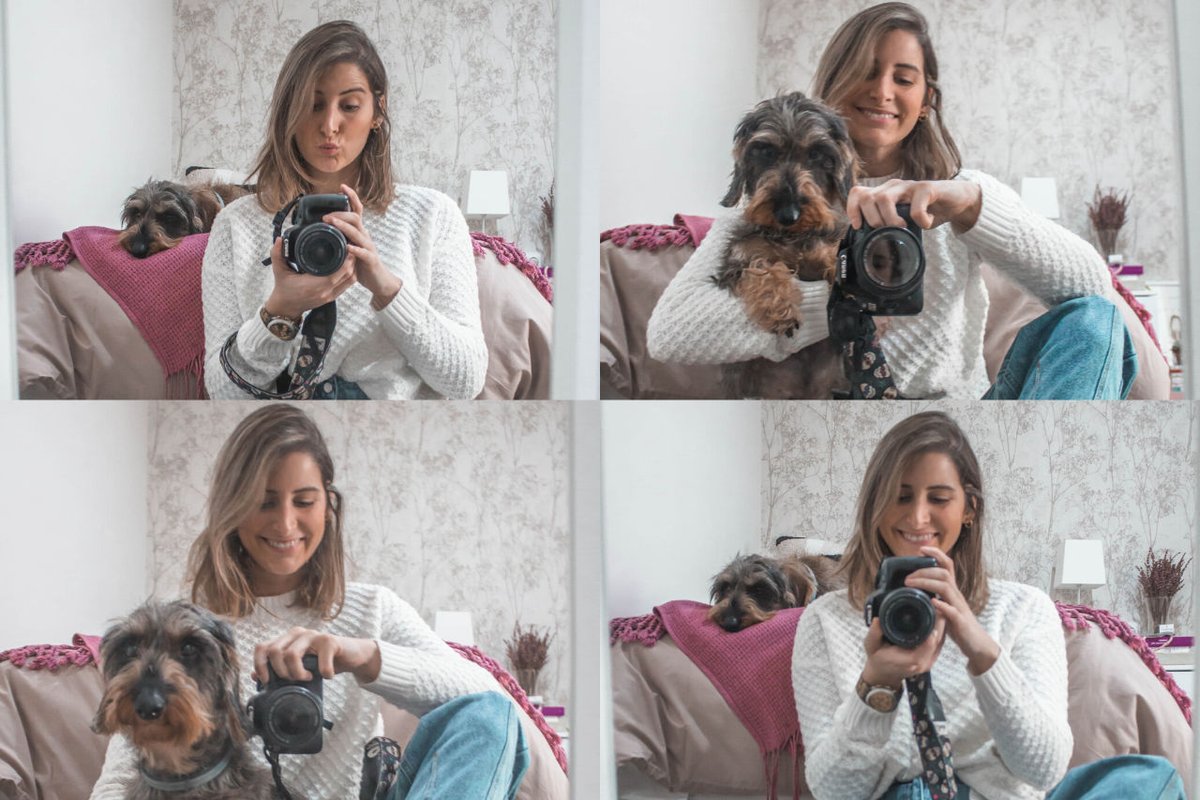 tintoandco's tweet photo. NUEVO EN EL BLOG: 5 consejos para sobrellevar la cuarentena gracias a @edgardcooper y @bacanacomm https://t.co/WVR1yyThhE #cuarentena #EsteVirusLoParamosUnidos #encasaconmiperro #Mascotas https://t.co/yO0co2jKUC