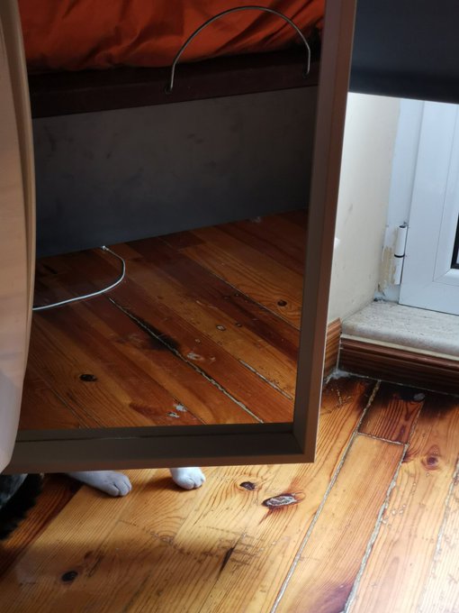 Who's hiding? https://t.co/YNtJ0a35j3<a href="/tag/dontrushchallenege"class="tags"><span>#dontrushchallenege</span></a>