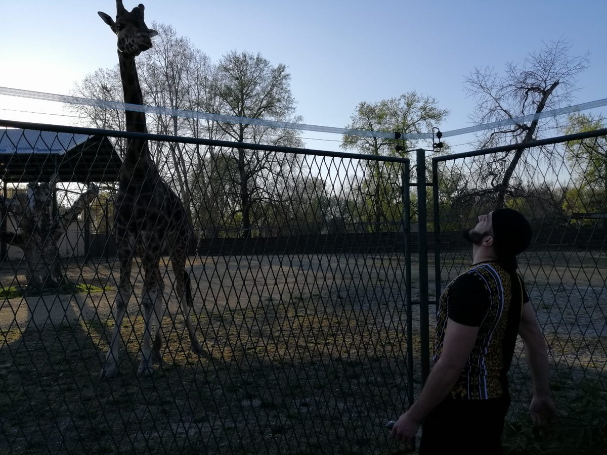 leftback93's tweet image. Šaptač žirafama!