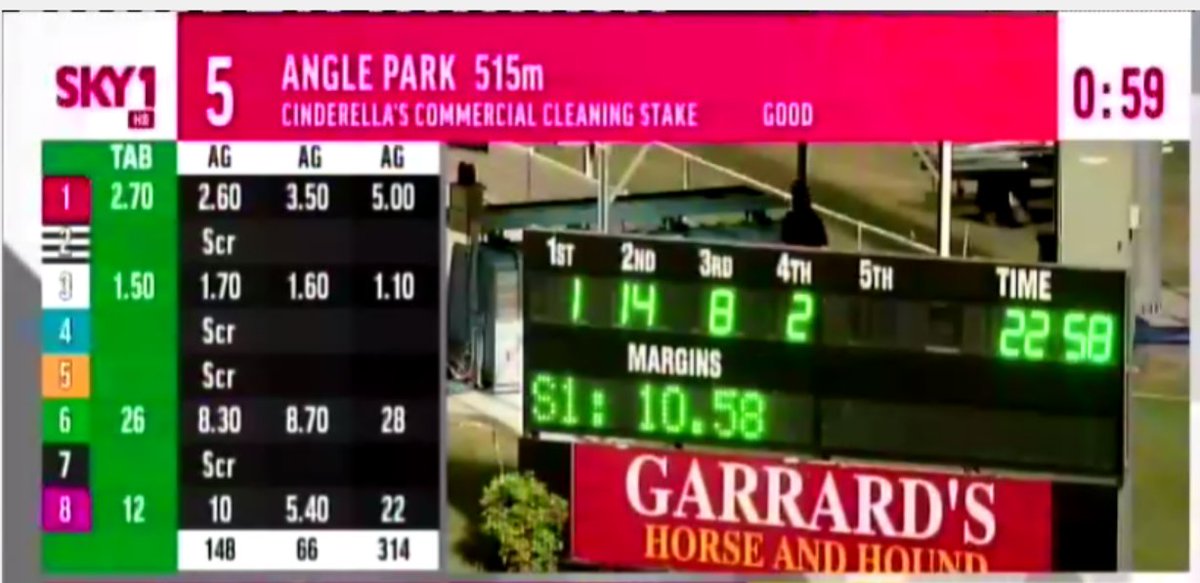 NetworkPunters's tweet photo. Albion Park enforcing social distancing by having dogs jump out of box 14 https://t.co/w2zzANgw7w