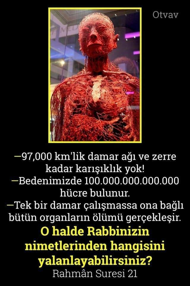 AylaKalayc's tweet photo. https://t.co/3r70oiAaoA