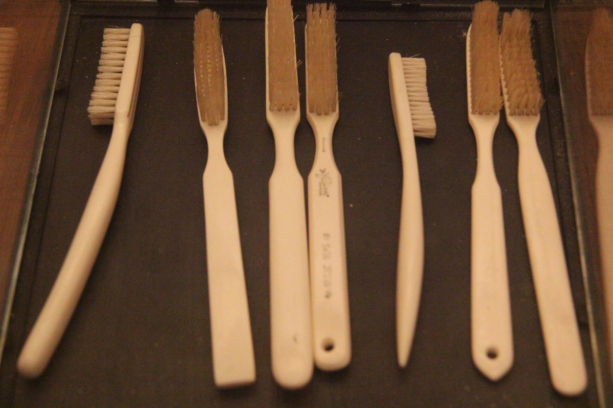 Caliquo75's tweet photo. Vous nous avez demandés une photo 📷de ces fameuses brosses à dents du 19 eme siècle vous pouvez les admirer :(PS :on les a mises dans une petite vitrine qui trône 💕depuis dans notre bureau) ! Savez-vous pourquoi il est aujourd'hui d'en fabriquer à l'identique en France ? https://t.co/zU5ZUw1RrW