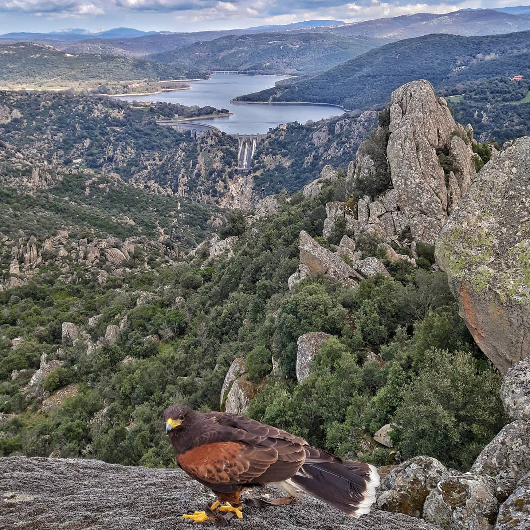 Vista d'eccezione sul lago di Gusana (Gavoi - NU) con ospiti più che speciali.
⠀
Questo bel regalo ce lo fa <a href="/antonisedda/">Sedda Antoni</a>.
Un bel modo per affrontare questo (ennesimo) lunedì di quarantena, che dite?
⠀
#IOSCELGOLASARDEGNA 
#BeerBagia 
#Sardegna