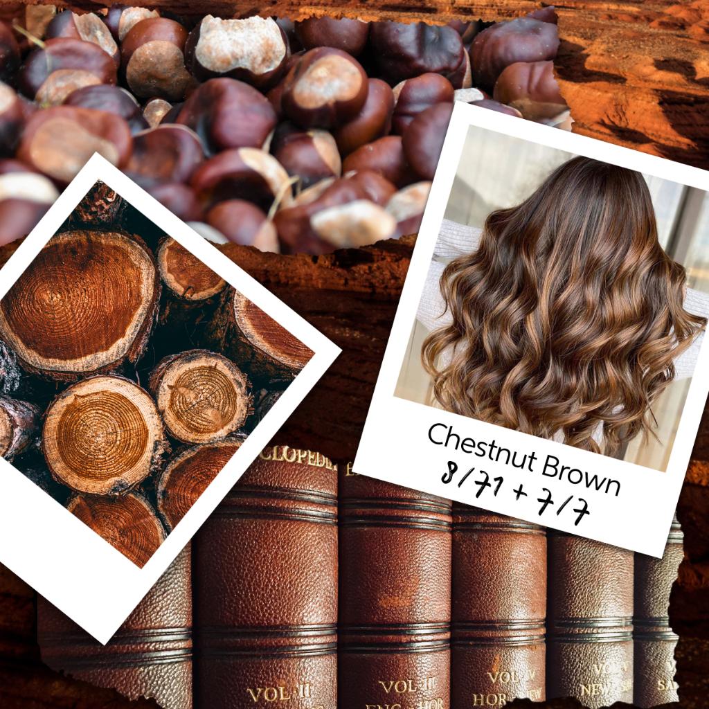 WellaPro's tweet photo. From mahogany hues to the perfect bourbon finish, #ChestnutBrown is the hair to wear right now 🌰❤️ Discover the perfect #WellaFormula 🎨👉 https://t.co/P3CH0sPpAX #AskForWella #MakeChange 

Hair colored by Wella Passionista Veronica Hencoski ✨ https://t.co/ZHhl5KJUgh