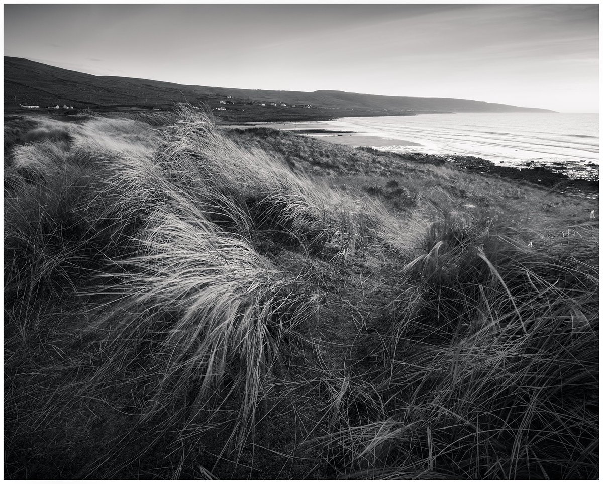 Irelandwildland's tweet photo. Evening Sun on the Dunes at Fanore Beach, Co Clare

#theburren #wildatlanticway #fanorebeach #staysafe #StayAtHomeAndStaySafe #staypositive #monochromephotography #Landscapephotography #WhenCoronaVirusIsOver #irishlandscape #loveireland #NaturePhotography https://t.co/qFXc3uRVFc