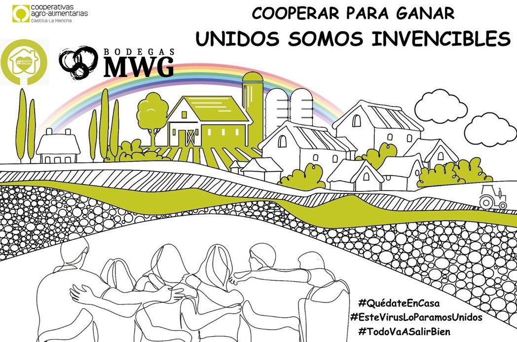 Bodegas MWG tweet media