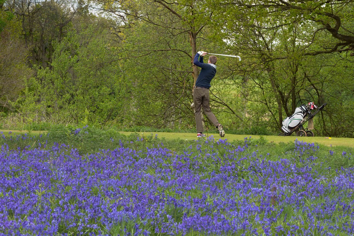 HeverCastleGolf's tweet photo. We would love to see your favourite pictures you've taken whilst out on the course, share them with us by using the #HeverMemory β³
Here are some of ours! https://t.co/utf1w2sTLN