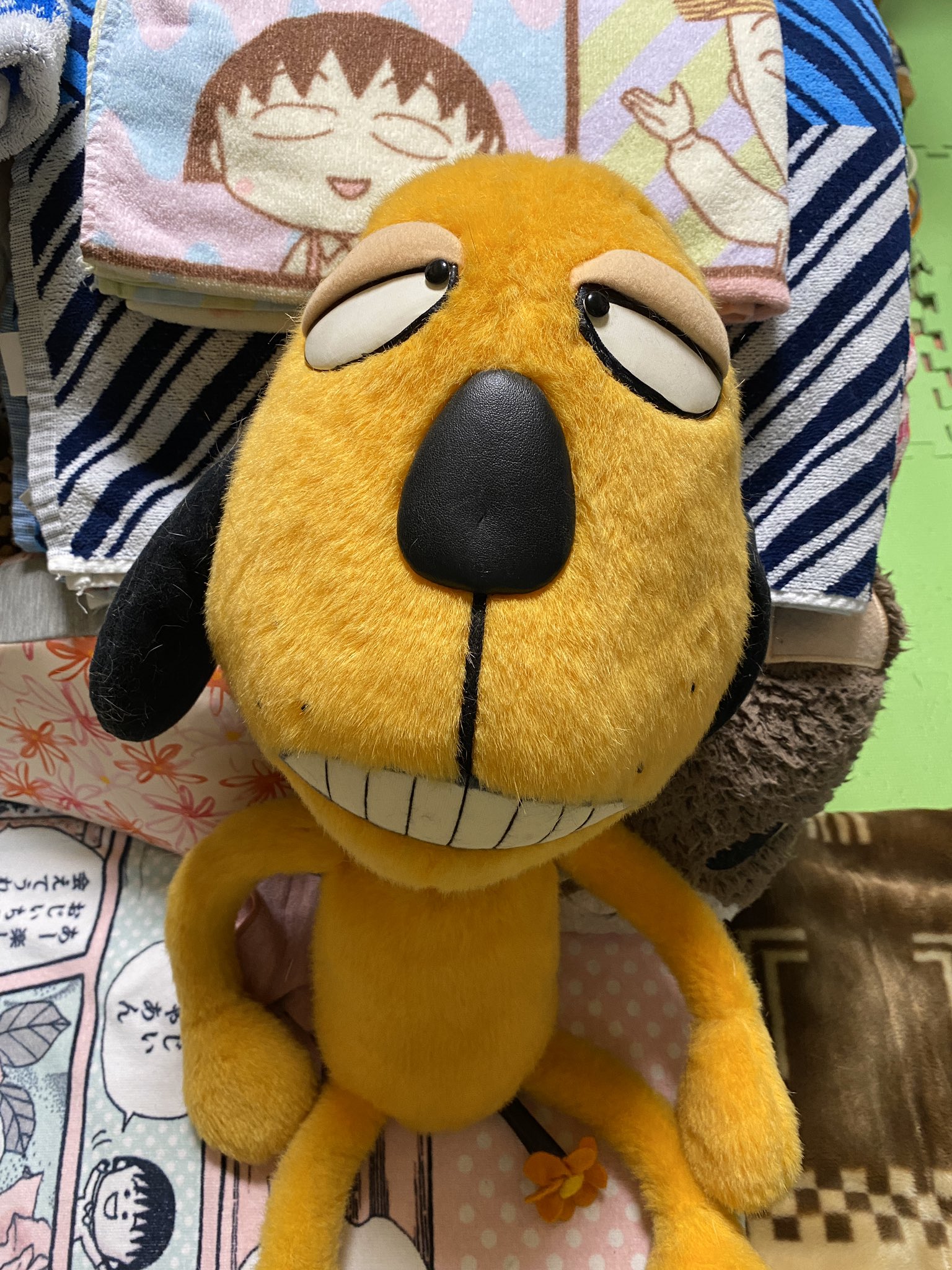 動物園 ツイッター 志村