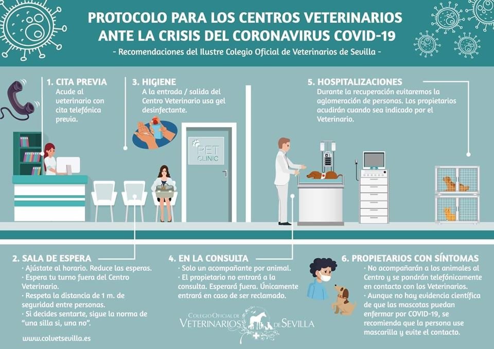 Os recordamos que seguimos abiertos para la atención sanitaria de vuestras mascotas.
Os recomendamos que concertéis cita previa en el 959357759 o 601340766. Seguiremos el protocolo de la imagen.
¡Ánimo a todos!