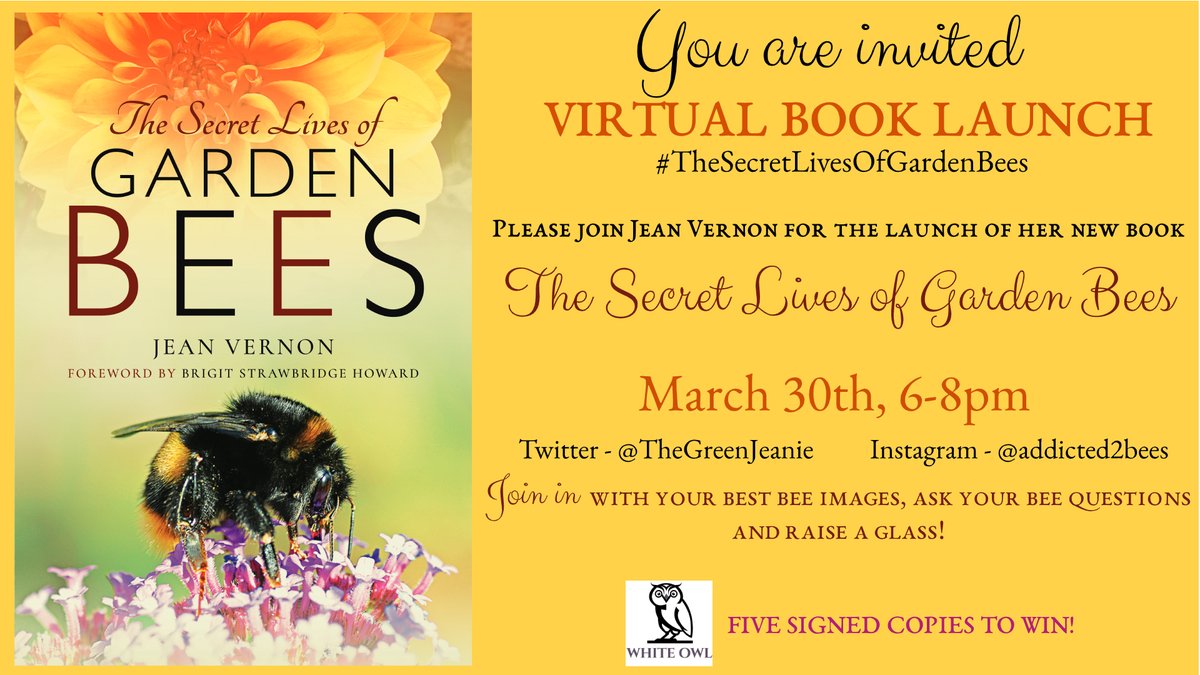 🐝 Jean Vernon 🐝 tweet media