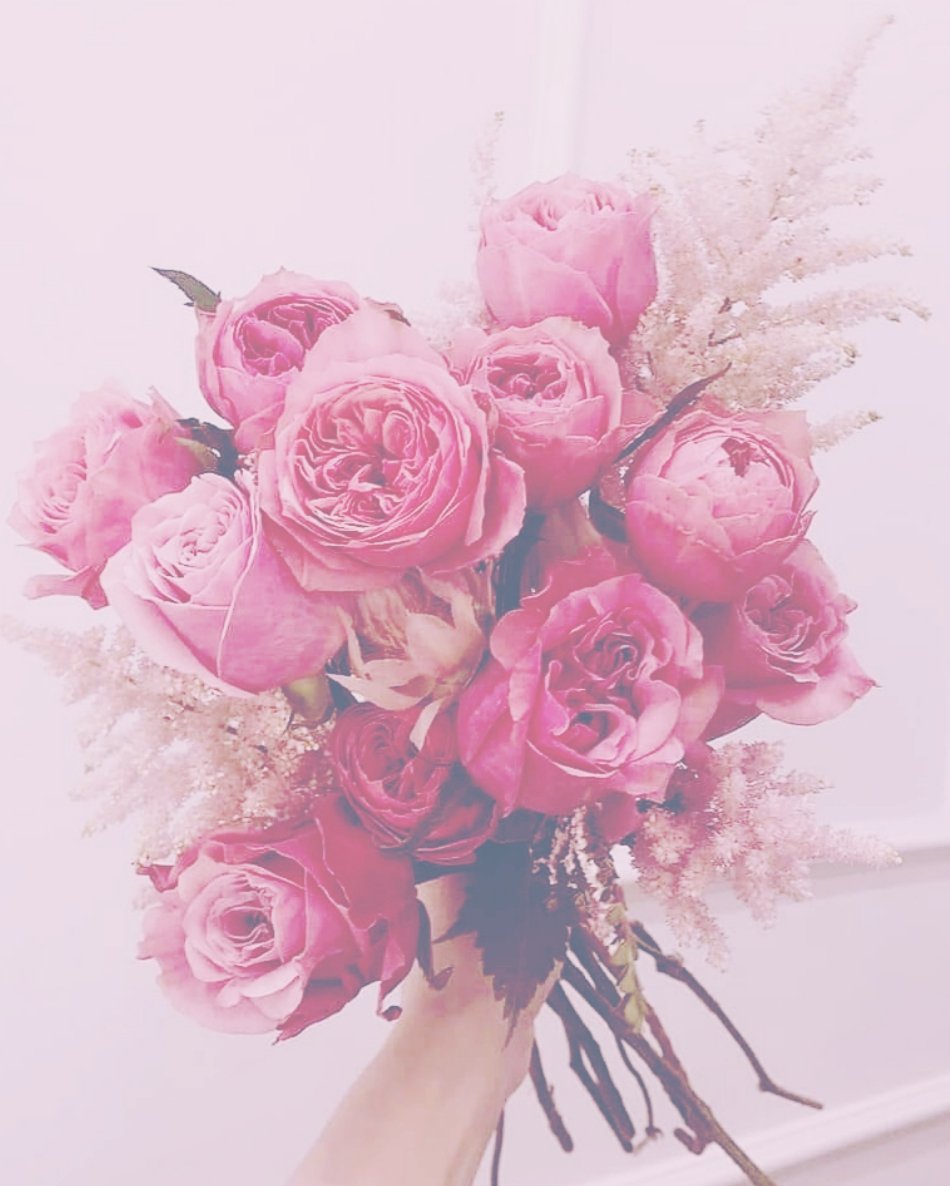 𝕽𝖔𝖘𝖊𝖆𝖓𝖓𝖊 (@bxbyrosyposy) / Posts / X
