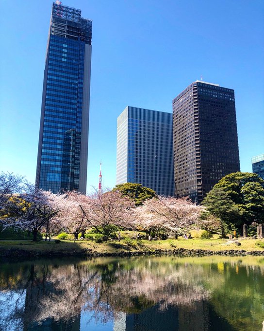 旧芝離宮恩賜庭園で見られる花 桜 紫陽花 紅葉の見頃は