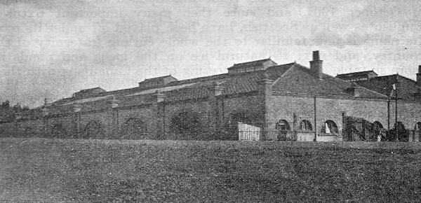 CurlingHistoryBlog tweet media