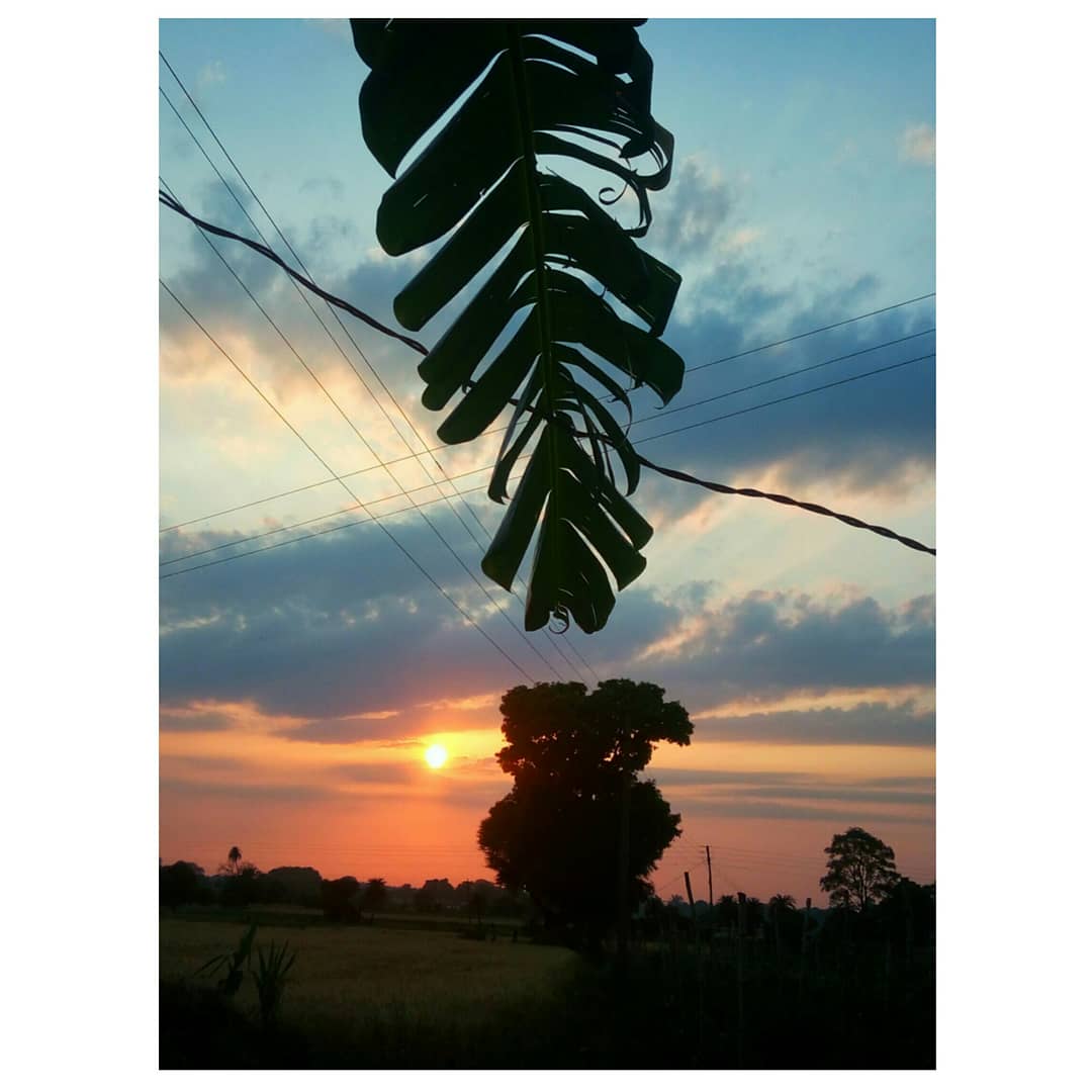 himachal_aldak's tweet photo. Tried something without one plus..
#IndoorsShotonOnePlus
#naturephotography #nature #life #flowerslovers #flowerstagram #photographyislife #photographercommunity #photooftheday #photography #click #bestclick #uniqueclicks #uniquephotography #uniqueshots #_soi #_coi #_ipcmobile https://t.co/hj9gEgvHnO