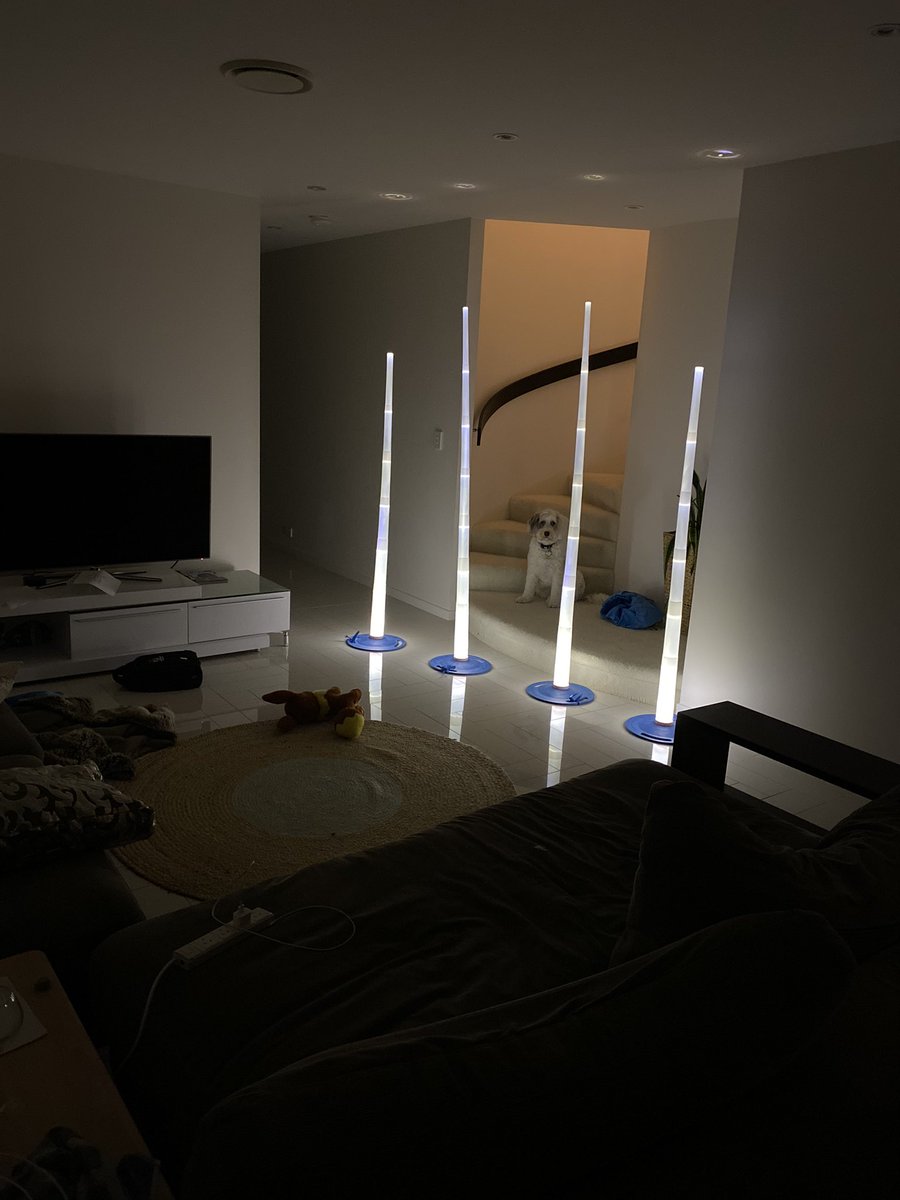 JeffWhite34's tweet photo. Home isolation is not too bad at the White House π different angles + we have our very own goal umpire πΆ #posthigh #glowinthedark #isolation #kids #footy @PostHigh https://t.co/2x7E5PMHHt