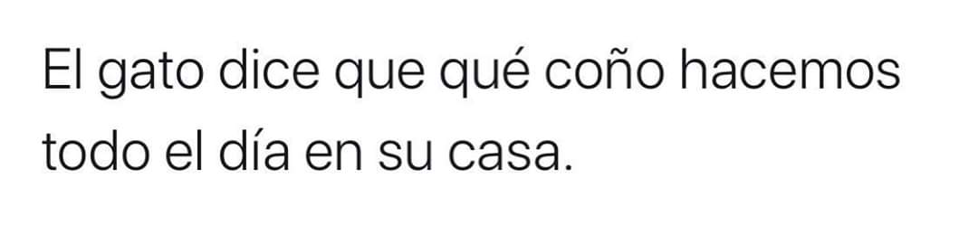 maspalomasanoni's tweet photo. ... para reír un poco https://t.co/Qf2kCiC59e