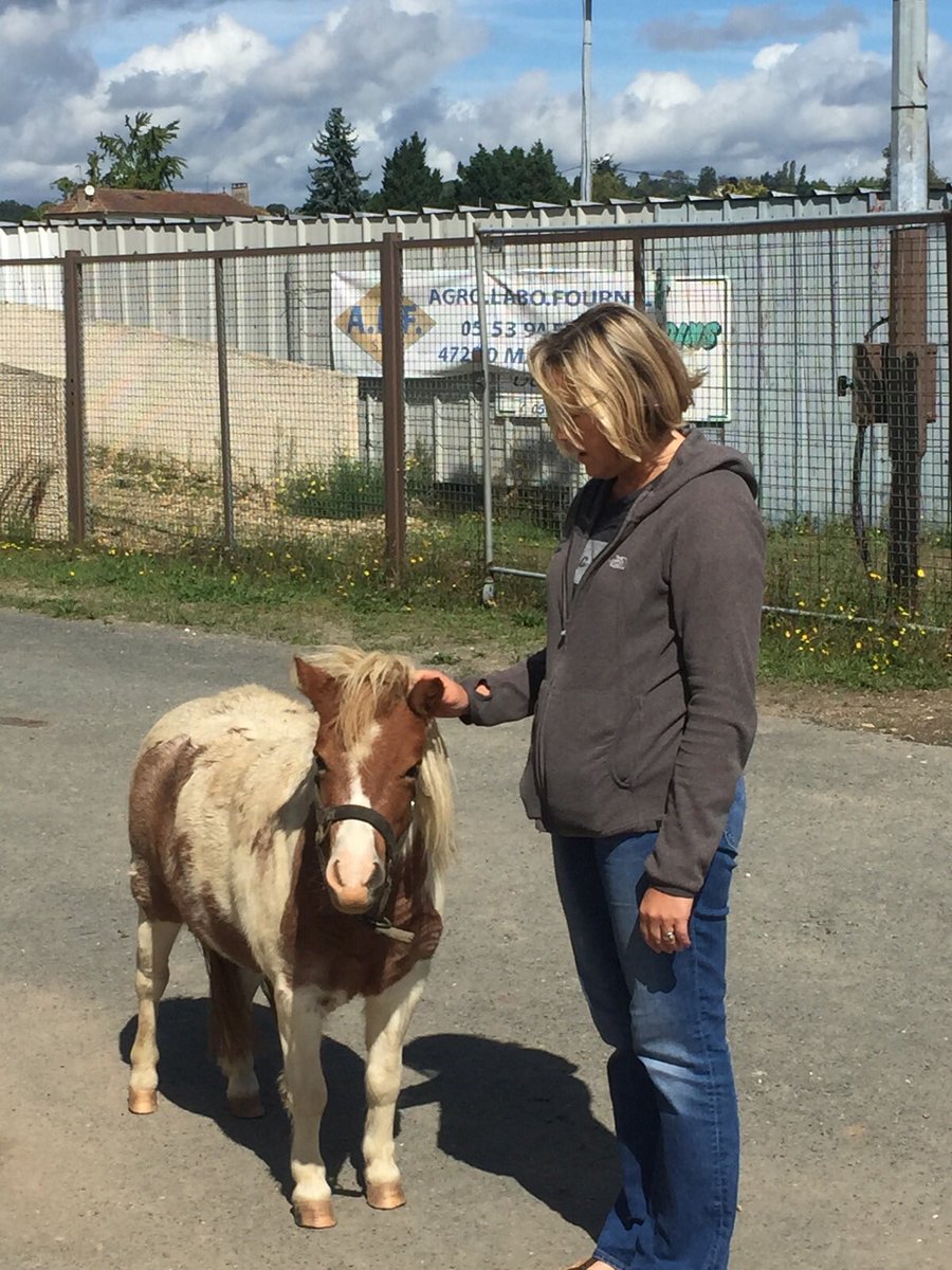 Helen Swinbank tweet media