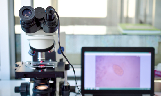 #Coupling Digital #Pathology and #Immunohistochemistry
This coupling can resolve the major issue of accuracy and reliability of the #immunohistochemical #techniques