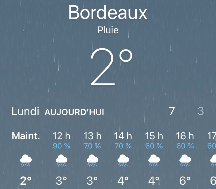  #TheLockdownChronicles Day 14End of the second week of lockdown .We got a few snowflakes  this morning . This is really a rare event now in  @Bordeaux, happening only every few years.Of course it didn’t last, it’s raining now 