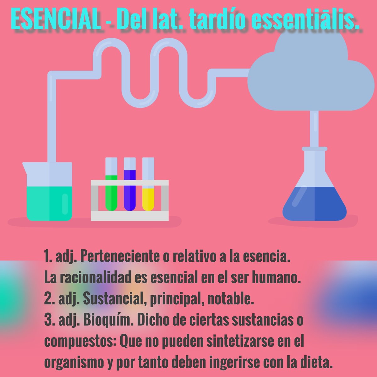 javikarni's tweet photo. Eskerrik asko berezko eta oinarrizkoak zareten guztioi, neretzat eta komunitatearentzat! 
Gracias mil a todas las personas esenciales y primordiales para mí y para el resto de la comunidad
Al margen de lo que diga la ley. Behar zaituztegu! 
Zaindu ezazue eta besteok zaindu! 😘💪 https://t.co/dG814FAUN3