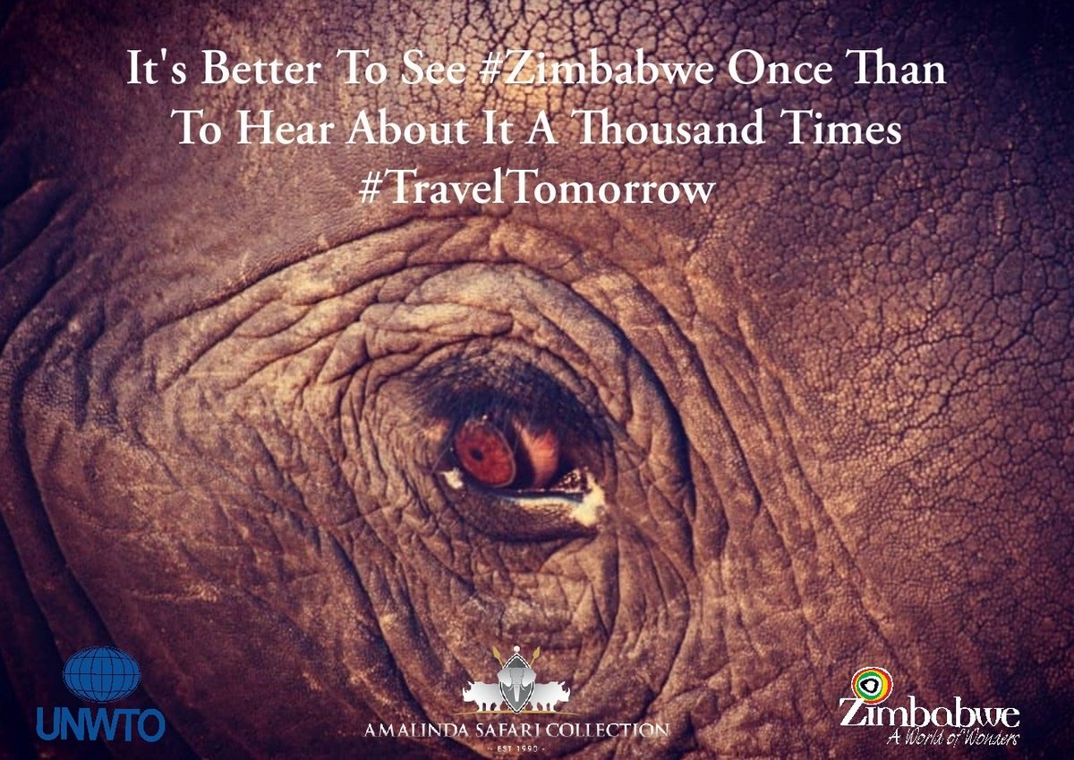 #ExperienceZimbabwe tweet media