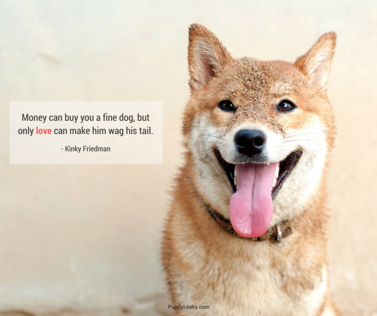 NewlandsPets's tweet photo. 100% True 👍 https://t.co/6mfbzkWw81
