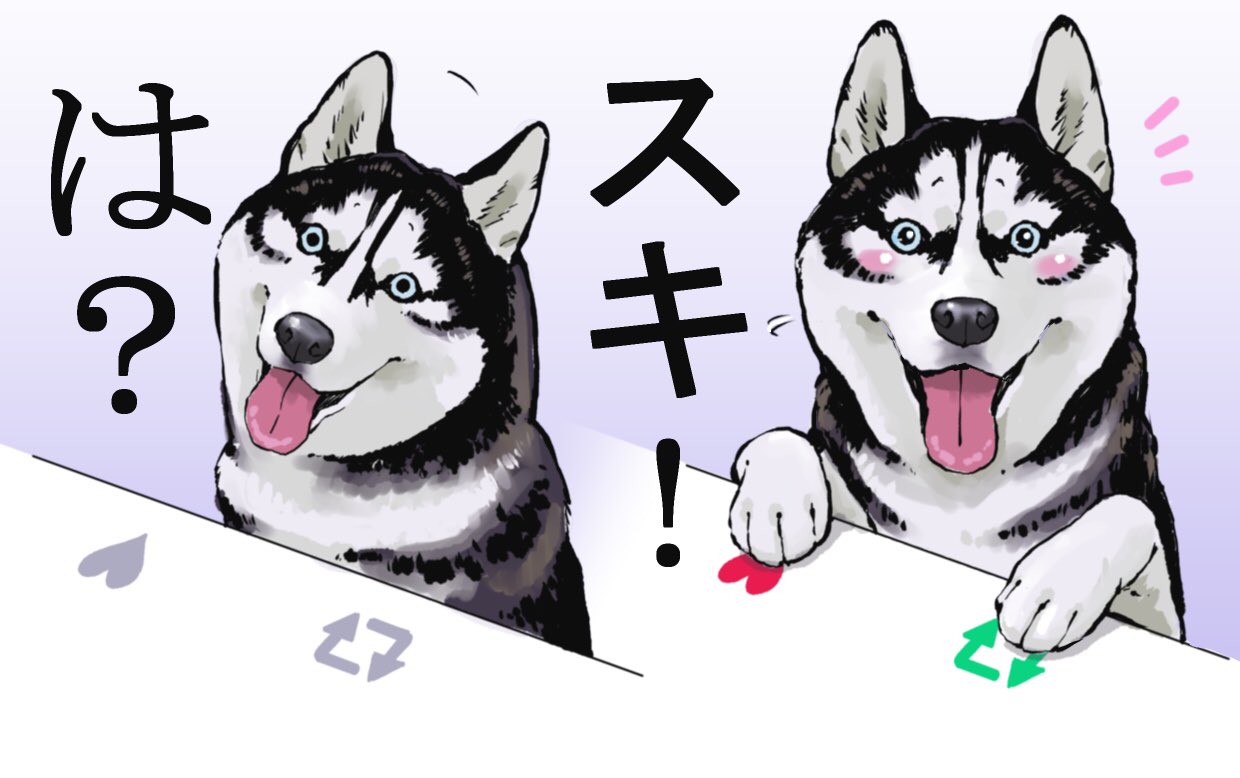 【拡散希望】6/10大阪市生野区にて柴犬を保護。飼い主さんは連絡ください。