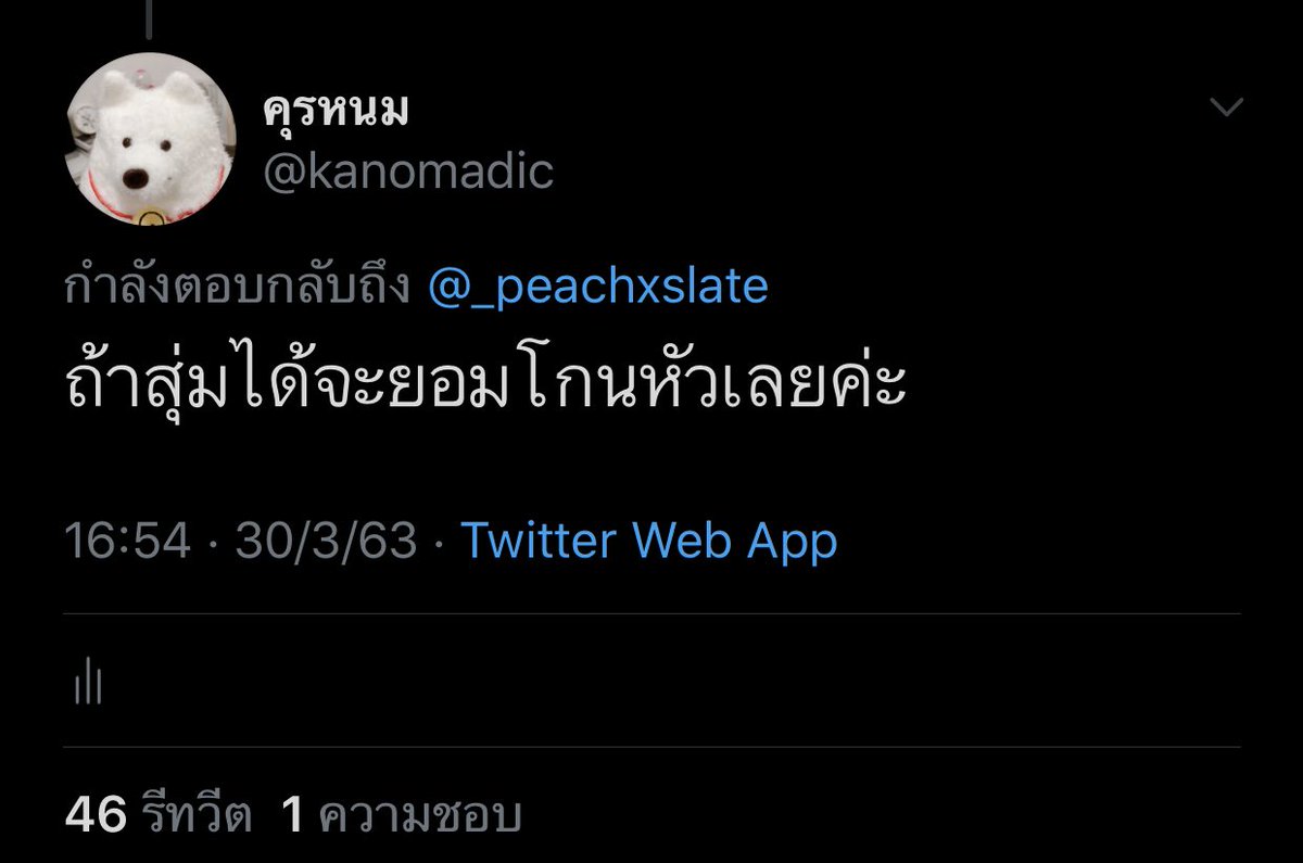 บีเวอร์กังวล tweet media