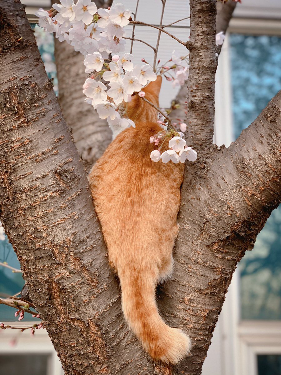 divetoxxxxx's tweet image. 만화 같았던 오늘의 퇴근길