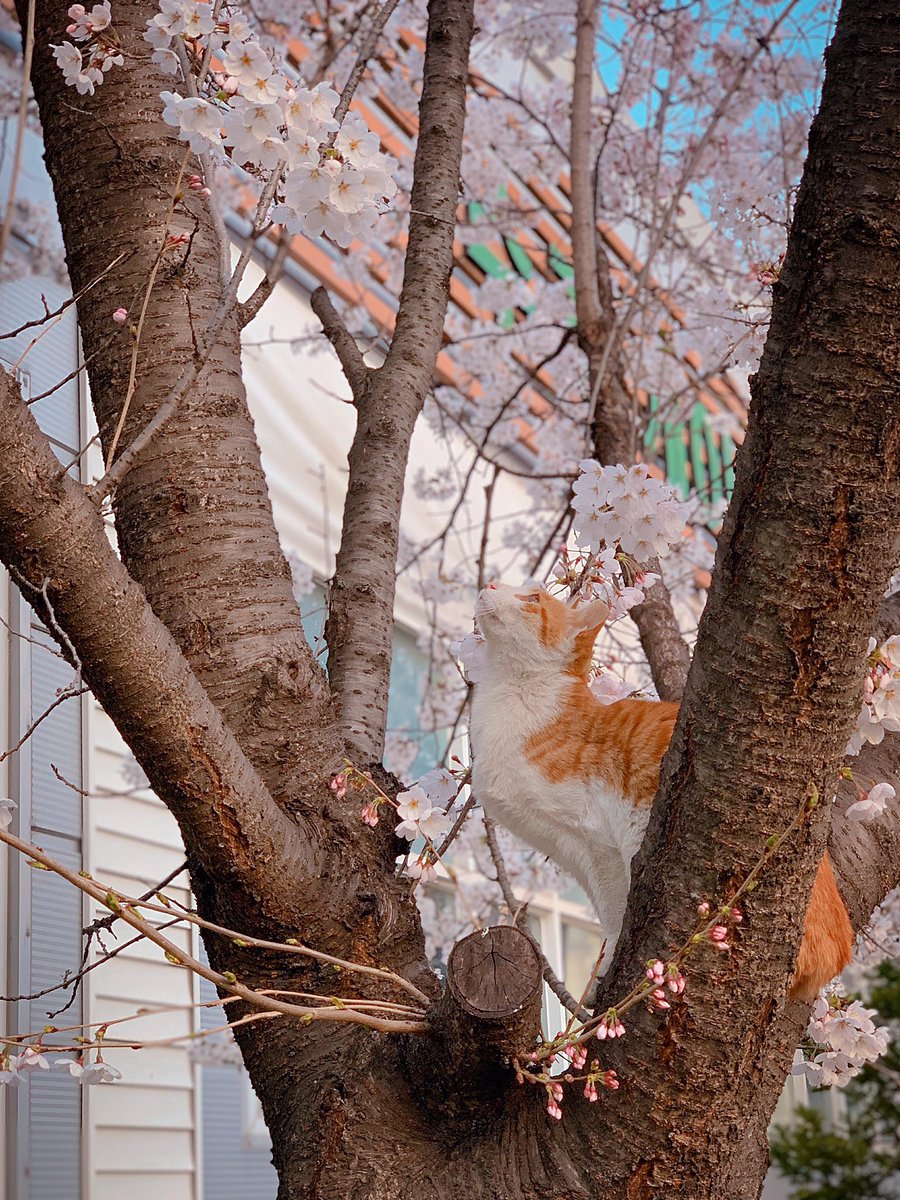 divetoxxxxx's tweet image. 만화 같았던 오늘의 퇴근길