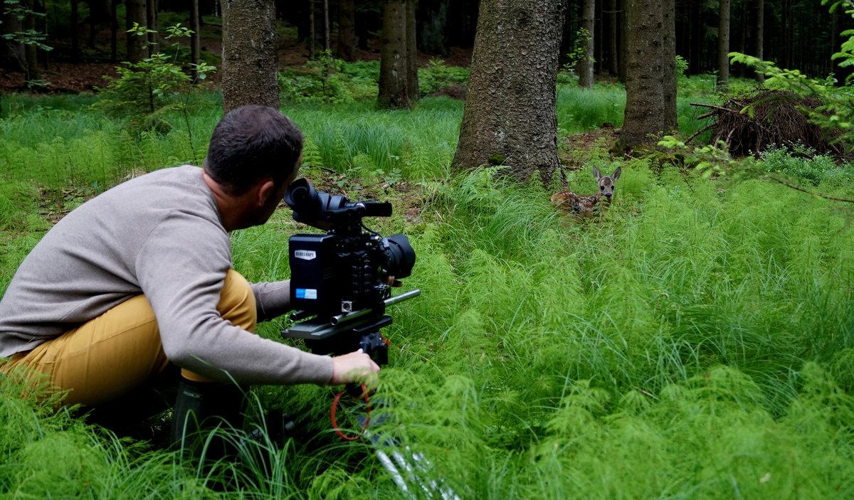 DeWiSt92's tweet photo. Naturschutz setzt die Kenntnis der Natur voraus – und dafür leisten Naturdokumentationen einen wertvollen Beitrag. Wir empfehlen Ihnen hier ein paar aktuelle Naturfilme, die Sie in der Zeit beschränkter Ausgehmöglichkeiten zuhause genießen können.
https://t.co/bMuChDr0d2 https://t.co/wdbLKNWFwH