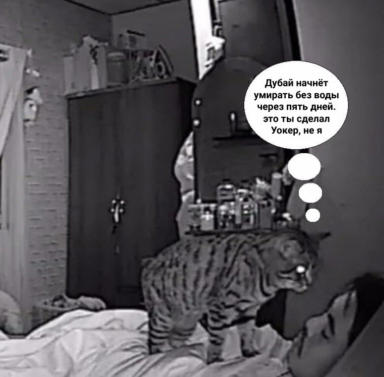 EUWYqRkXQAAdIrX?format=jpg&name=900x900