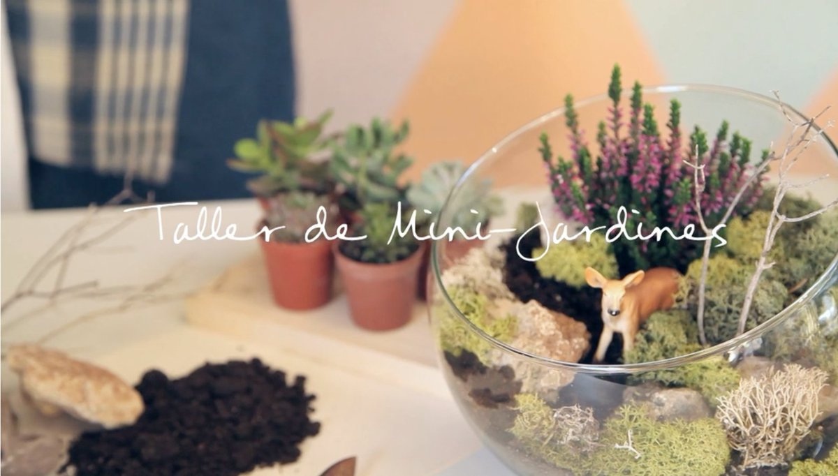 La primavera ha llegado, y aunque no podamos salir a verla, podemos hacerla crecer en casa. Aprende a hacer Mini-jardines húmedos y áridos con cuatro contenedores y temáticas diferentes en el taller online de @openstudio79
thehobbymaker.com/curso/taller-o…
