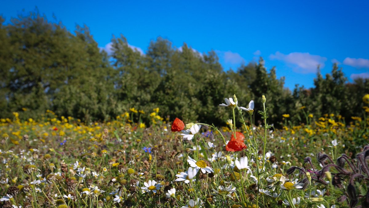 VisitTipp's tweet photo. Celebrate our county’s beauty and share memories to get us through these unprecedented times. Tag us in your photos of Tipperary (use @visittipp) https://t.co/xQtj2qKFOm