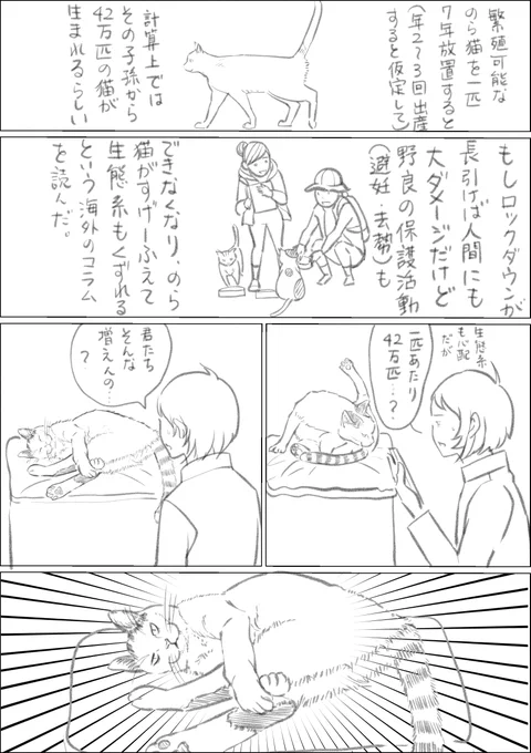 猫のポテンシャル
