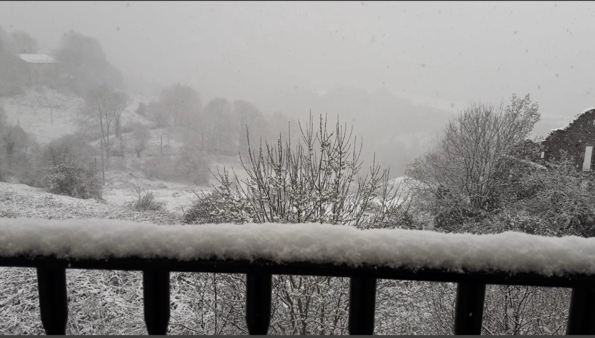 ElTiempoNavarra's tweet photo. Aquí tenemos #Igoa #BasaburuaMayor #Navarra esta mañana con una ligera nevada
Altitud 600 metros
Fotografías de @ainhoa_arano https://t.co/2vhgSF89YB