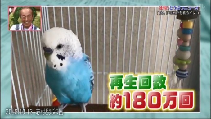 ぴんふさん の人気ツイート 1 Whotwi グラフィカルtwitter分析 ぴんふさん の人気ツイート 1 Whotwi グラフィカルtwitter分析