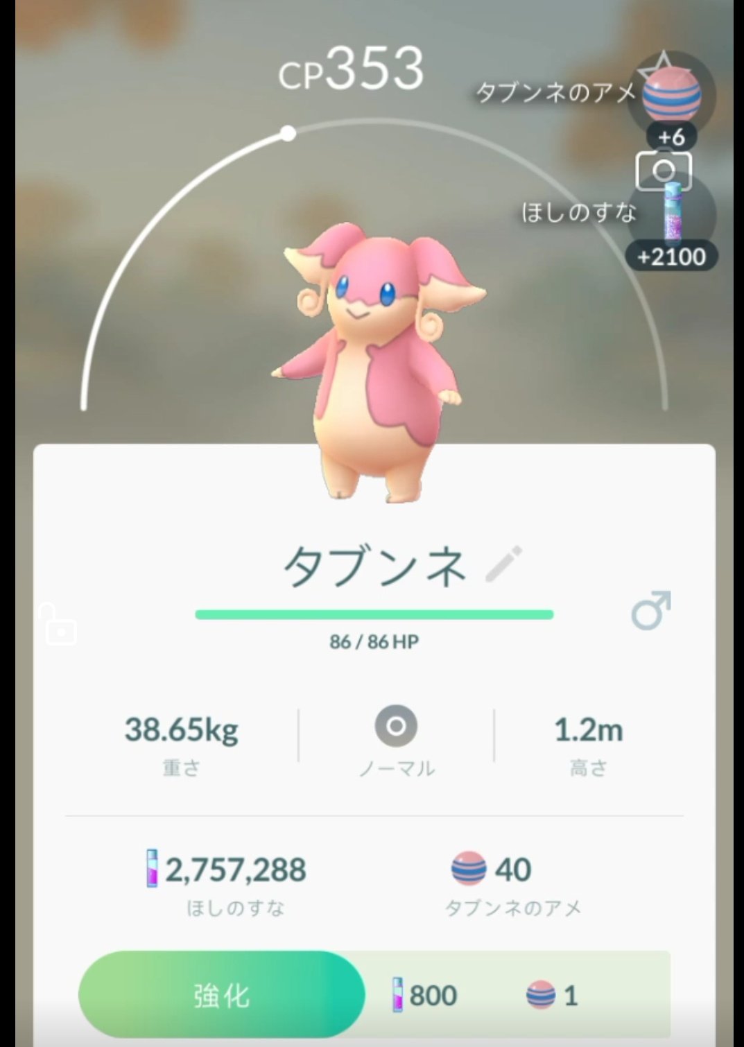 タブンネ ポケモンgo ほしのすな