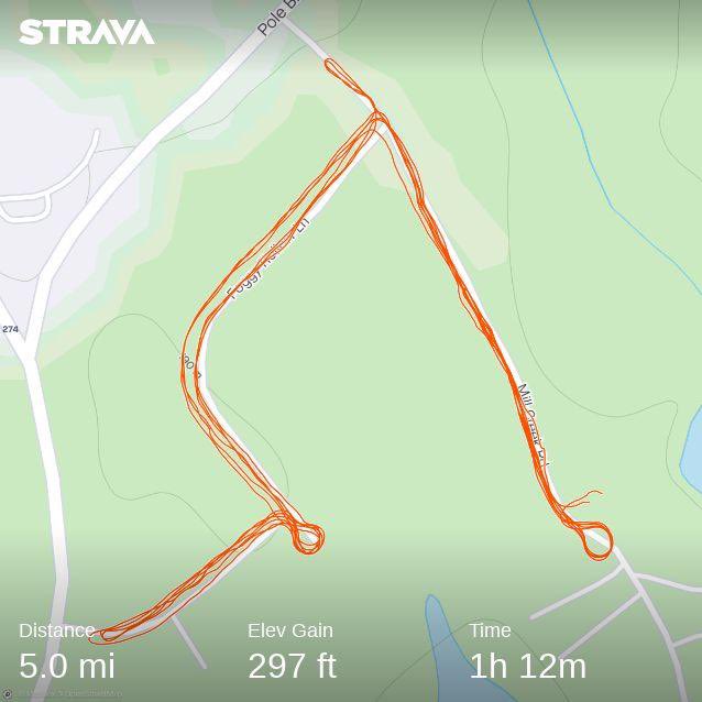 DavePinti tweet media