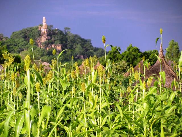 gampsonfranck's tweet photo. PRENEZ LE TEMPS DE DÉCOUVRIR LE CAMEROUN Découvrir le #Cameroun➡😱🌇💚❤💛
Welcome to #Cameroon
#J72 #suivezleguide
« village protégé par les six montagnes ».
Moutourwa
#237RaisonsDeVoyager #237DaysTrip
#totalchan2020 #NationBranding https://t.co/urJ29f0Reb