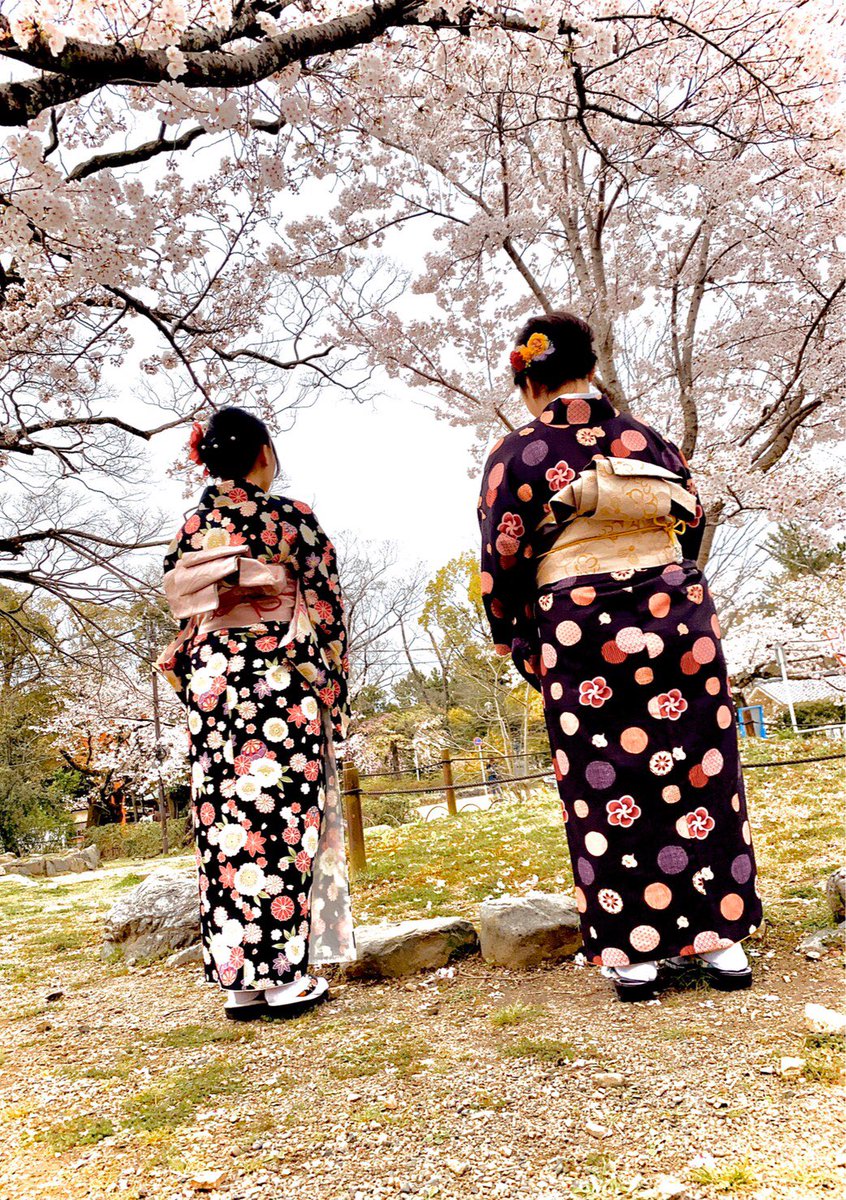 京都ソメイヨシノ満開宣言🌸
kimono-koto.com/okyakusama/237…

#京都 #四条烏丸 #着物 #着物レンタル #和服 #浴衣 #浴衣レンタル #京都着物レンタル #そうだ京都行こう #夜遅くまで #22時迄 #夜10時迄 #ソメイヨシノ #満開 #蹴上インクライン #円山公園 #kyoto #shijokarasuma #kimono #yukata #rental #koto