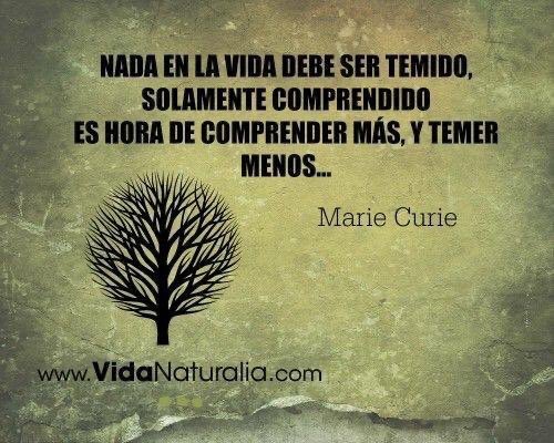 Federación Acisjf-In Vía tweet media