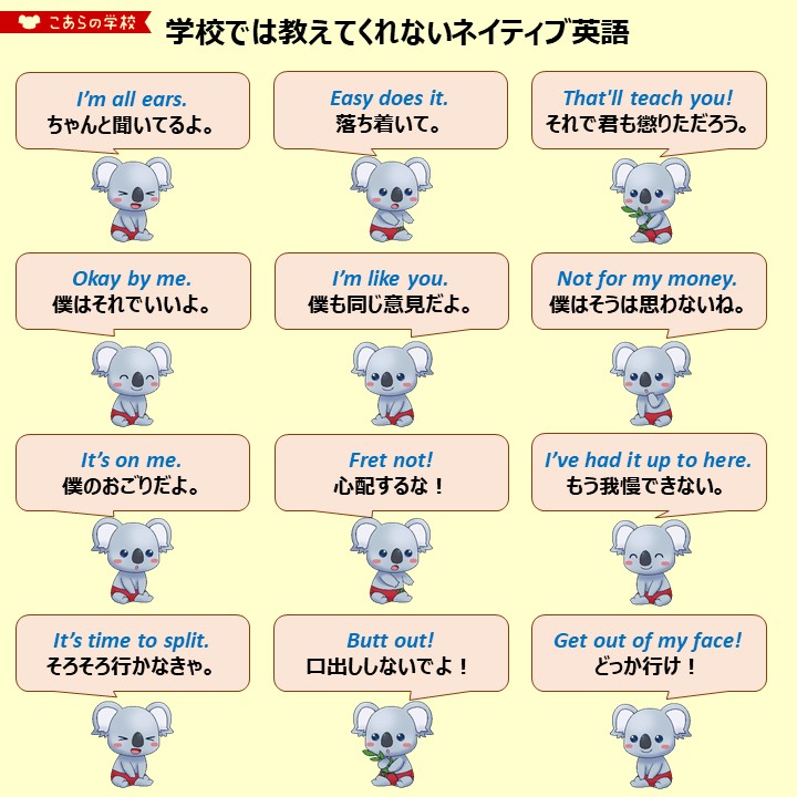 こあたん こあらの学校 学校では教えてくれないネイティブ英語 こあたん こあらの学校 学校では教えてくれないネイティブ英語