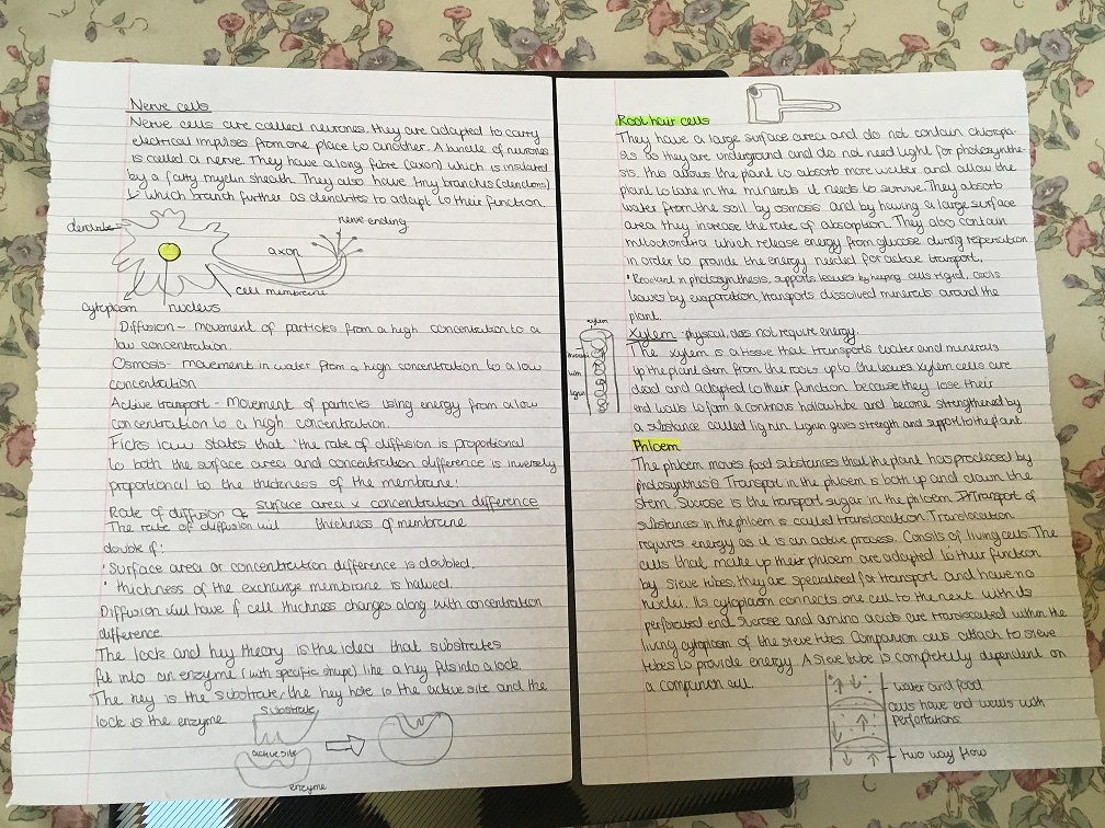 mirfieldfree's tweet photo. Some great science work from Lucy and Safia - well done girls! https://t.co/0w6PoNw7PF