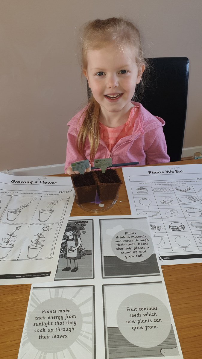 Sarah93258065's tweet photo. Today Mia (1L) has been planting seeds and learning about how plants grow using worksheets from Twinkl. @RomanHillSchool https://t.co/LLYK1VV1qv