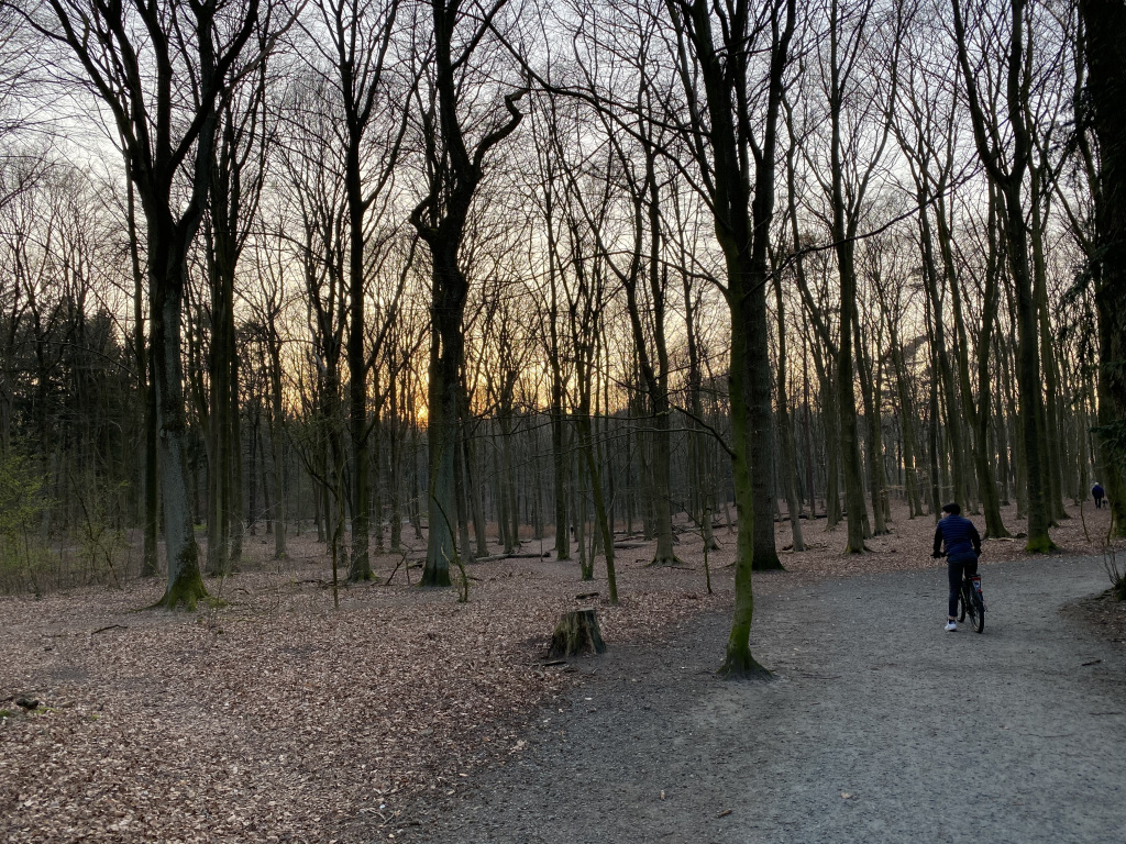 ftnaether's tweet image. Coronavirus 30. März: Empathie + Gemeinschaft und warum sie so wichtig sind naether-mafo.de/2020/03/30/cor…