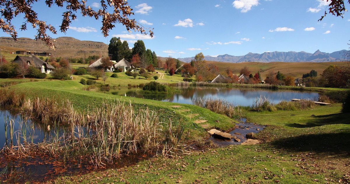 thepremierlife's tweet photo. Situated in the foothills of the southern #Drakensberg lies #Castleburn - a home to eland, reedbuck and 100 species of bird, who flock to the re-established wetlands.
Enjoy spacious, thatched, architect-designed cottages, built of hand-hewn local stone - https://t.co/GqOgwofpHO https://t.co/S5A75DVazA