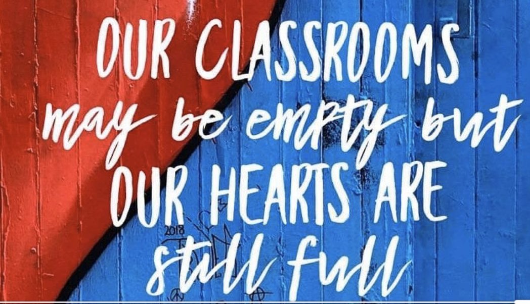 James Schnyderite tweet media