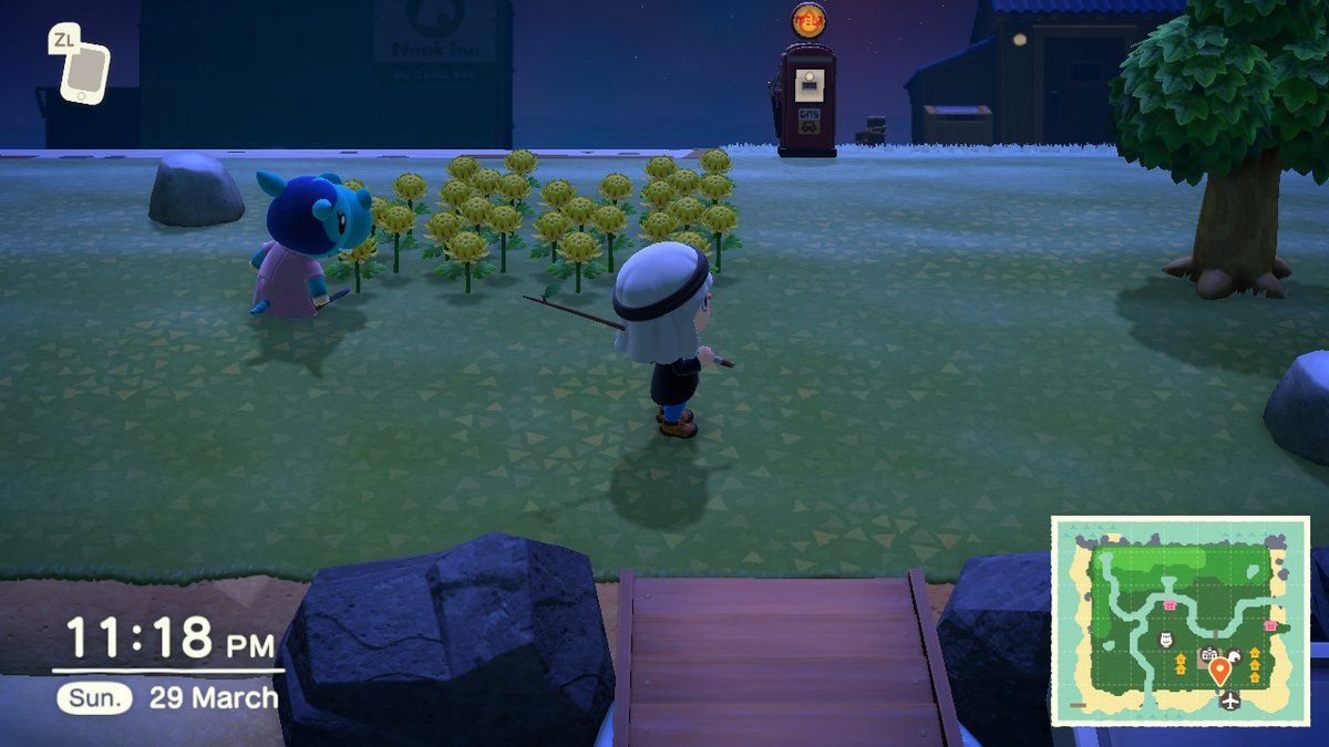 #AnimalCrossing #ACNH #NintendoSwitch